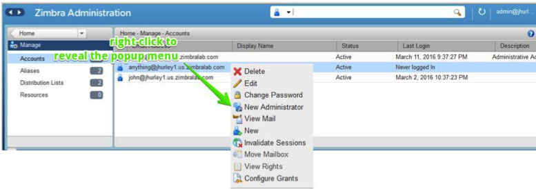 Zimbra: List of User Account Status- BrandCrock GmbH